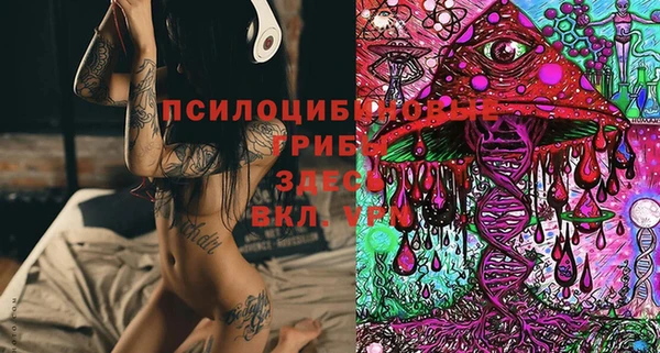 spice Козловка