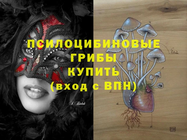 spice Козловка