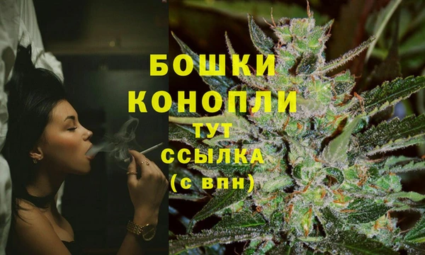 spice Козловка