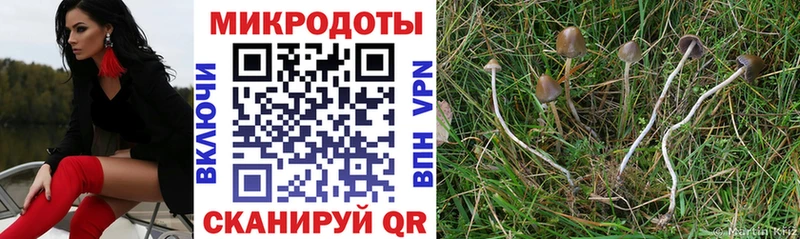 Галлюциногенные грибы мухоморы  Купить закладки  Буинск 