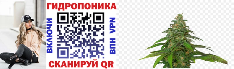 Купить где  Буинск  Каннабис тримм 